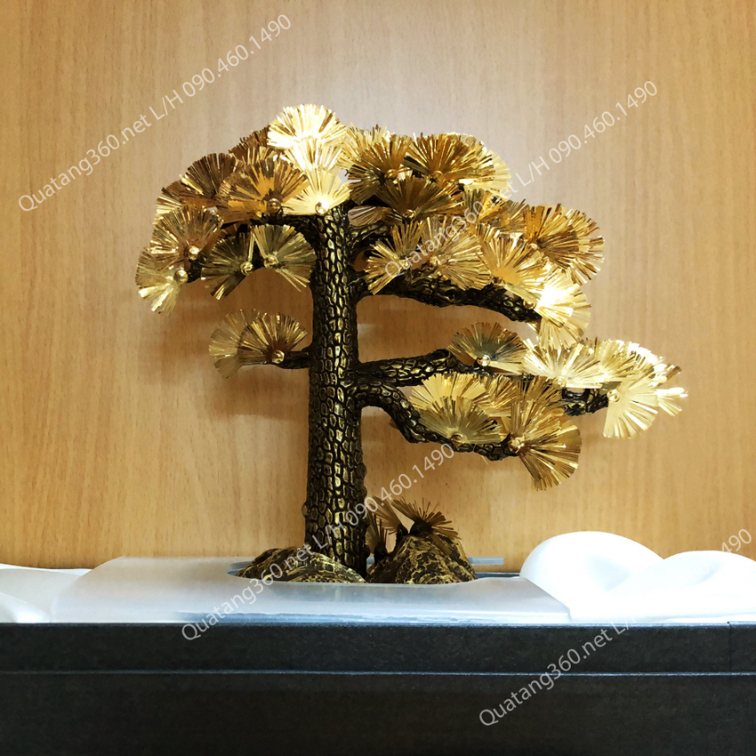cây tùng mạ vàng - Quà tặng mạ vàng cao cấp
